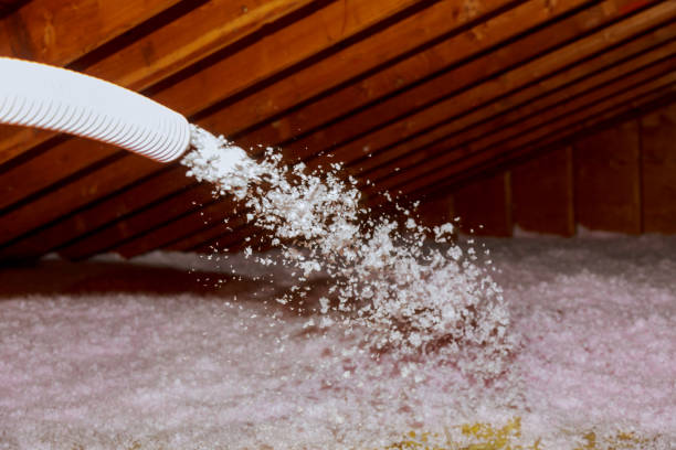 Best Insulation Maintenance and Repair in Rural Retreat, VA